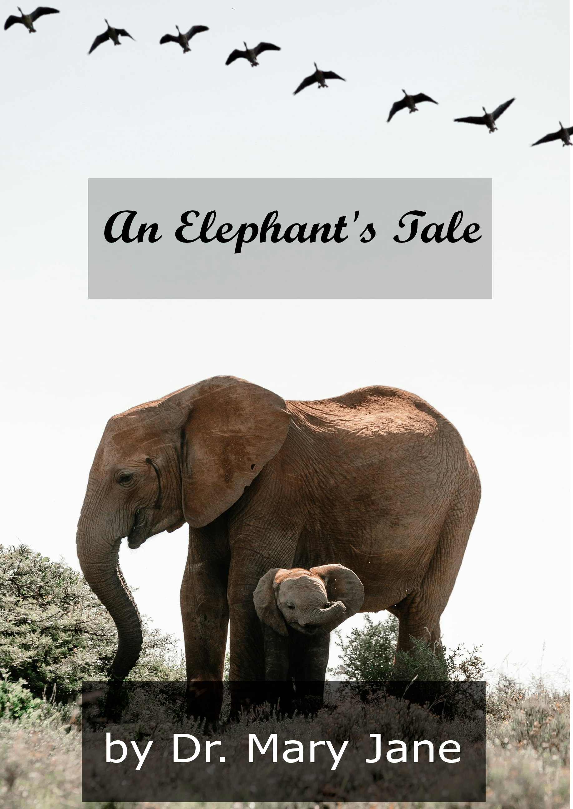 Image Editing Sample 1